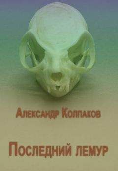 Александр Колпаков - Сборник "Последний лемур" - Читать 📖 Читать онлайн 👀 Читаемые книги читать онлайн бесплатно 🔥 booksread-online.com