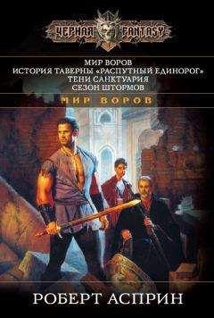 Роберт Асприн - Мир воров. История таверны «Распутный Единорог». Тени Санктуария. Сезон штормов - Читать 📖 Читать онлайн 👀 Читаемые книги читать онлайн бесплатно 🔥 booksread-online.com
