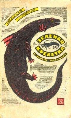 Михаил Емцев - Зеленая креветка (Сборник с иллюстрациями) - Читать 📖 Читать онлайн 👀 Читаемые книги читать онлайн бесплатно 🔥 booksread-online.com