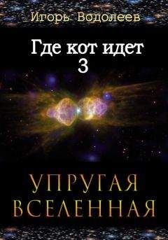 Игорь Водолеев - Где кот идет 3. Упругая вселенная - Читать 📖 Читать онлайн 👀 Читаемые книги читать онлайн бесплатно 🔥 booksread-online.com