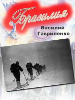 Василий Гавриленко - Бразилия - Читать | Читать онлайн | Читаемые книги читать онлайн бесплатно | booksread-online.com