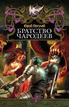 Юрий Погуляй - Братство Чародеев - Читать 📖 Читать онлайн 👀 Читаемые книги читать онлайн бесплатно 🔥 booksread-online.com