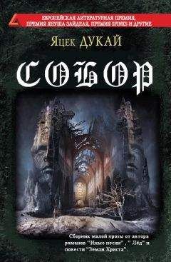 Яцек Дукай - Собор (сборник) - Читать 📖 Читать онлайн 👀 Читаемые книги читать онлайн бесплатно 🔥 booksread-online.com