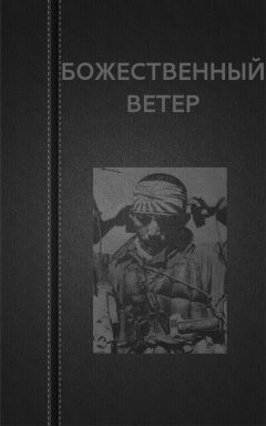Вадим Астанин - Божественный ветер - Читать 📖 Читать онлайн 👀 Читаемые книги читать онлайн бесплатно 🔥 booksread-online.com
