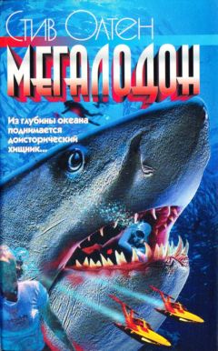 Стив Олтен - Мегалодон - Читать | Читать онлайн | Читаемые книги читать онлайн бесплатно | booksread-online.com