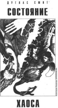 Дуглас Смит - Состояние хаоса - Читать Читать онлайн Читаемые книги читать онлайн бесплатно booksread-online.com