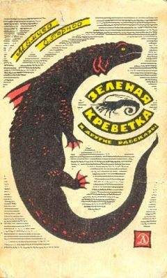 Михаил Емцев - Бунт тридцати триллионов - Читать 📖 Читать онлайн 👀 Читаемые книги читать онлайн бесплатно 🔥 booksread-online.com