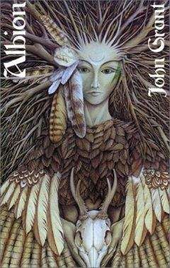 Джон Грант - Альбион - Читать 📖 Читать онлайн 👀 Читаемые книги читать онлайн бесплатно 🔥 booksread-online.com
