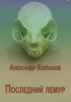Александр Колпаков - Последний лемур - Читать 📖 Читать онлайн 👀 Читаемые книги читать онлайн бесплатно 🔥 booksread-online.com