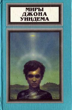 Джон Уиндем - Том 4. Чокки. Паутина. Семена времени - Читать | Читать онлайн | Читаемые книги читать онлайн бесплатно | booksread-online.com