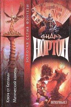 Андрэ Нортон - Ключ от Кеплиан - Читать 📖 Читать онлайн 👀 Читаемые книги читать онлайн бесплатно 🔥 booksread-online.com