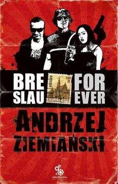 Анджей Земяньский - Бреслау Forever - Читать Читать онлайн Читаемые книги читать онлайн бесплатно booksread-online.com