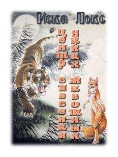 Наталья Котрасева - Центр спасения диких животных - Читать 📖 Читать онлайн 👀 Читаемые книги читать онлайн бесплатно 🔥 booksread-online.com