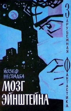 Йозеф Несвадба - Мозг Эйнштейна - Читать 📖 Читать онлайн 👀 Читаемые книги читать онлайн бесплатно 🔥 booksread-online.com