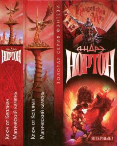Андрэ Нортон - Ключ от Кеплиан. Магический камень - Читать 📖 Читать онлайн 👀 Читаемые книги читать онлайн бесплатно 🔥 booksread-online.com