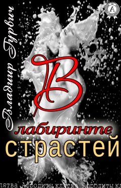 Владимир Гурвич - В лабиринте страстей - Читать 📖 Читать онлайн 👀 Читаемые книги читать онлайн бесплатно 🔥 booksread-online.com