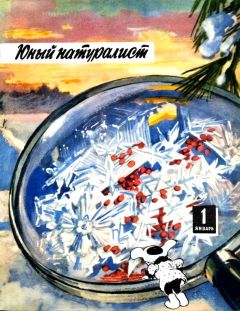 К. Мазовский - Экспедиция возвращается с Марса - Читать Читать онлайн Читаемые книги читать онлайн бесплатно booksread-online.com