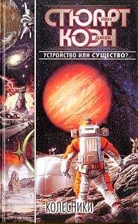 Йэн Стюарт - Колесники - Читать Читать онлайн Читаемые книги читать онлайн бесплатно booksread-online.com