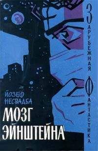 Й. Несвадба - Мозг Эйнштейна - Читать | Читать онлайн | Читаемые книги читать онлайн бесплатно | booksread-online.com