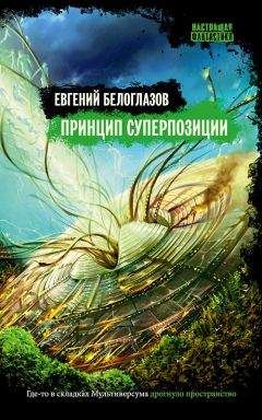 Евгений Белоглазов - Принцип суперпозиции - Читать 📖 Читать онлайн 👀 Читаемые книги читать онлайн бесплатно 🔥 booksread-online.com