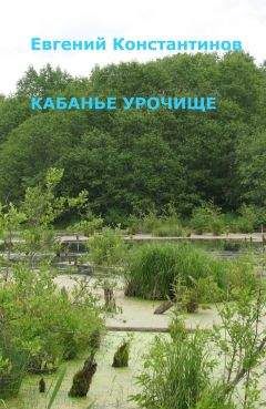 Евгений Константинов - Кабанье урочище - Читать 📖 Читать онлайн 👀 Читаемые книги читать онлайн бесплатно 🔥 booksread-online.com
