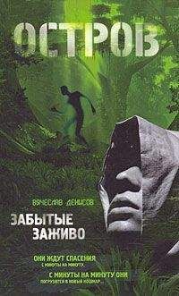 Вячеслав Денисов - Остров. Забытые заживо - Читать 📖 Читать онлайн 👀 Читаемые книги читать онлайн бесплатно 🔥 booksread-online.com