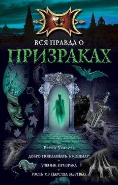 Елена Усачева - Ученик призрака - Читать 📖 Читать онлайн 👀 Читаемые книги читать онлайн бесплатно 🔥 booksread-online.com