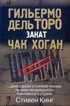 Гильермо дель Торо - Закат - Читать 📖 Читать онлайн 👀 Читаемые книги читать онлайн бесплатно 🔥 booksread-online.com