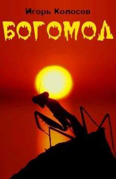 Игорь Колосов - Богомол - Читать 📖 Читать онлайн 👀 Читаемые книги читать онлайн бесплатно 🔥 booksread-online.com
