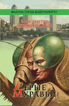 Кирилл Домбровский - Серые муравьи - Читать 📖 Читать онлайн 👀 Читаемые книги читать онлайн бесплатно 🔥 booksread-online.com