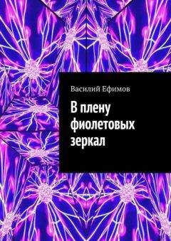 Василий Ефимов - В плену фиолетовых зеркал - Читать | Читать онлайн | Читаемые книги читать онлайн бесплатно | booksread-online.com