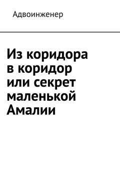 Адвоинженер - Из коридора в коридор или секрет маленькой Амалии - Читать 📖 Читать онлайн 👀 Читаемые книги читать онлайн бесплатно 🔥 booksread-online.com