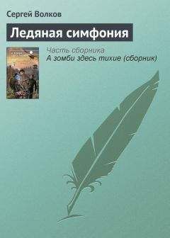 Сергей Волков - Ледяная симфония - Читать 📖 Читать онлайн 👀 Читаемые книги читать онлайн бесплатно 🔥 booksread-online.com