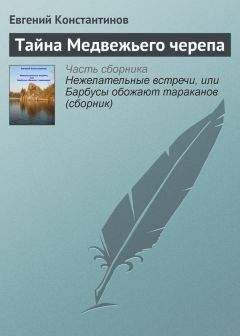 Евгений Константинов - Тайна Медвежьего черепа - Читать 📖 Читать онлайн 👀 Читаемые книги читать онлайн бесплатно 🔥 booksread-online.com