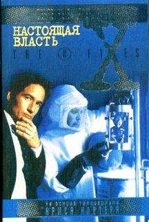 Андрей Лазарчук - Настоящая власть - Читать 📖 Читать онлайн 👀 Читаемые книги читать онлайн бесплатно 🔥 booksread-online.com