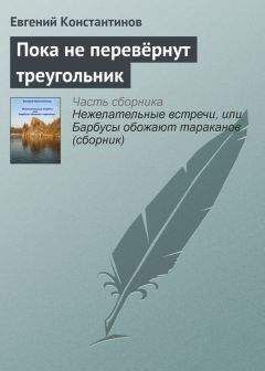 Евгений Константинов - Пока не перевёрнут треугольник - Читать 📖 Читать онлайн 👀 Читаемые книги читать онлайн бесплатно 🔥 booksread-online.com