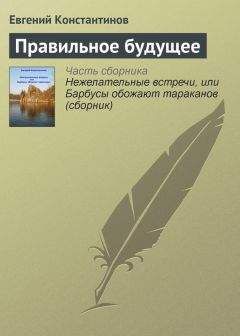 Евгений Константинов - Правильное будущее - Читать 📖 Читать онлайн 👀 Читаемые книги читать онлайн бесплатно 🔥 booksread-online.com