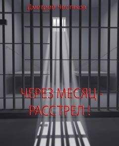 Дмитрий Чистяков - Через месяц - расстрел - Читать 📖 Читать онлайн 👀 Читаемые книги читать онлайн бесплатно 🔥 booksread-online.com