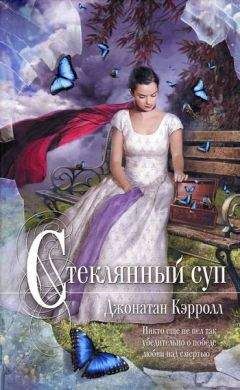 Джонатан Кэрролл - Стеклянный суп - Читать 📖 Читать онлайн 👀 Читаемые книги читать онлайн бесплатно 🔥 booksread-online.com