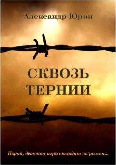 Александр Юрин - Сквозь тернии - Читать 📖 Читать онлайн 👀 Читаемые книги читать онлайн бесплатно 🔥 booksread-online.com