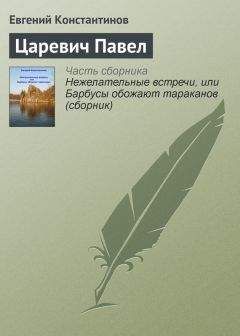 Евгений Константинов - Царевич Павел - Читать 📖 Читать онлайн 👀 Читаемые книги читать онлайн бесплатно 🔥 booksread-online.com