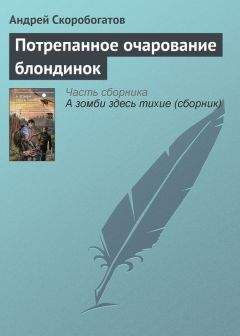 Андрей Скоробогатов - Потрепанное очарование блондинок - Читать 📖 Читать онлайн 👀 Читаемые книги читать онлайн бесплатно 🔥 booksread-online.com