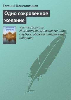 Евгений Константинов - Одно сокровенное желание - Читать 📖 Читать онлайн 👀 Читаемые книги читать онлайн бесплатно 🔥 booksread-online.com