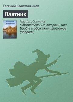 Евгений Константинов - Платник - Читать 📖 Читать онлайн 👀 Читаемые книги читать онлайн бесплатно 🔥 booksread-online.com