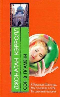 Джонатан Кэрролл - Сон в пламени - Читать 📖 Читать онлайн 👀 Читаемые книги читать онлайн бесплатно 🔥 booksread-online.com