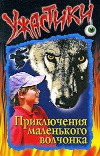 Ольга Дзюба - Приключения маленького волчонка - Читать 📖 Читать онлайн 👀 Читаемые книги читать онлайн бесплатно 🔥 booksread-online.com