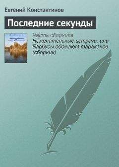 Евгений Константинов - Последние секунды - Читать 📖 Читать онлайн 👀 Читаемые книги читать онлайн бесплатно 🔥 booksread-online.com