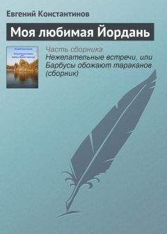 Евгений Константинов - Моя любимая Йордань - Читать 📖 Читать онлайн 👀 Читаемые книги читать онлайн бесплатно 🔥 booksread-online.com