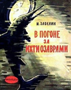 Игорь Забелин - В погоне за ихтиозаврами - Читать 📖 Читать онлайн 👀 Читаемые книги читать онлайн бесплатно 🔥 booksread-online.com