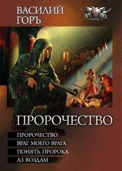 Василий Горъ - Пророчество: Пророчество. Враг моего врага. Понять пророка. Аз воздам. - Читать | Читать онлайн | Читаемые книги читать онлайн бесплатно | booksread-online.com
